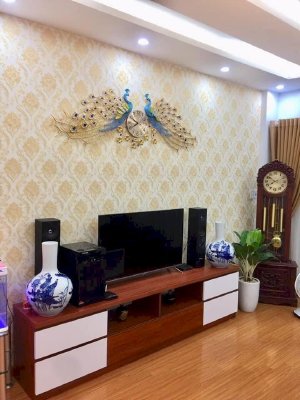 Nhà phân lô Giáp Nhị 64 m2, 5 tầng, đẹp - sang trọng, ô tô vào nhà, kd văn phòng